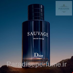 دکانت 10میل عطر ساواج – Dior Sauvage  برند: Dior  نوع رایحه: معطر آروماتیک (Aromatic Fougere)